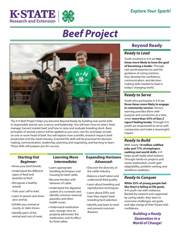 Beef Project Spark Page - Thumbnail Image